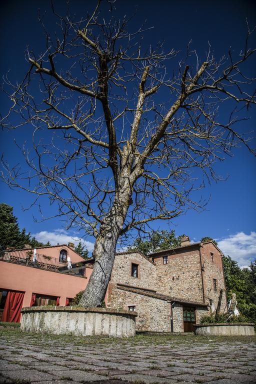 Agriturismo Casa Volaterra Volterra Kültér fotó